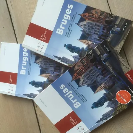 Vlamynckpoort Pensjonat 3*